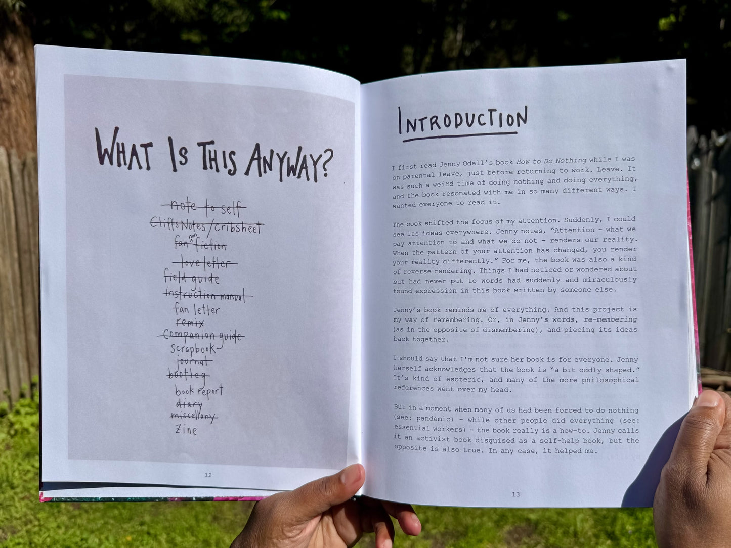 The Emergency Was Curiosity Book